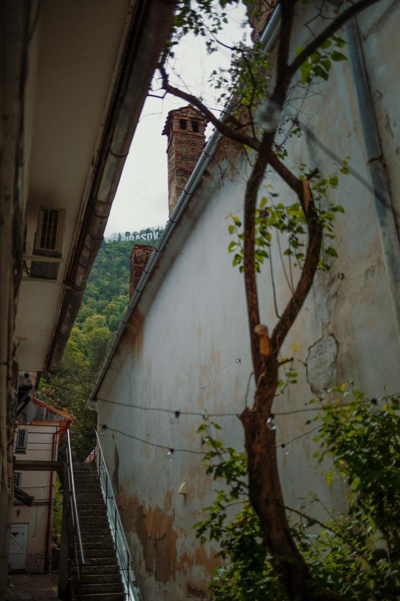 3 Min To Everything-Stylish-Modern-Old Fortress Brașov Exterior foto